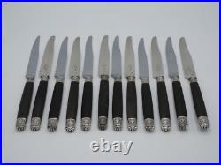 12 Couteaux A Fruits Fromage Lames Argent Massif Poincon Minerve Mascarons