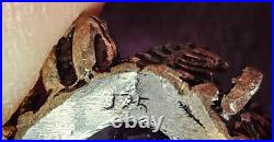 Bague naturaliste argent massif poinçon 925 avec grosse améthyste ovale taillée