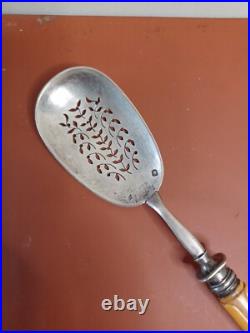 Pelle A Hors D'ouvre Cuillère argent massif A Saupoudrer Manche En Os Poinçon