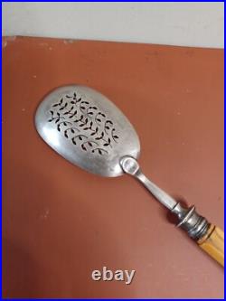 Pelle A Hors D'ouvre Cuillère argent massif A Saupoudrer Manche En Os Poinçon