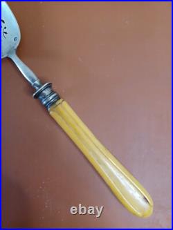 Pelle A Hors D'ouvre Cuillère argent massif A Saupoudrer Manche En Os Poinçon