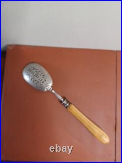 Pelle A Hors D'ouvre Cuillère argent massif A Saupoudrer Manche En Os Poinçon