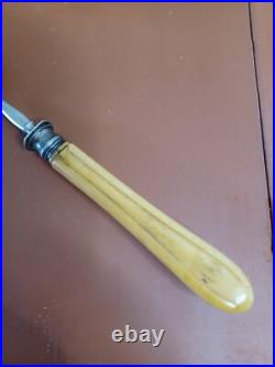 Pelle A Hors D'ouvre Cuillère argent massif A Saupoudrer Manche En Os Poinçon