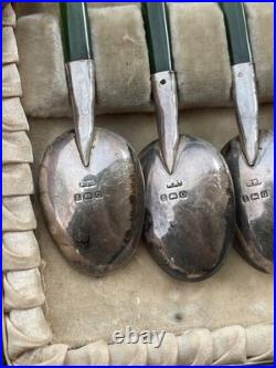 Rare Cuillère Poinçons Argent Massif Anglais Jade Nouvelle-zélande Kiwi Antique