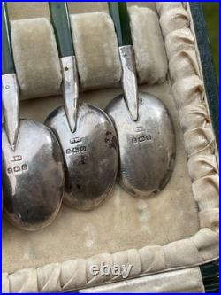 Rare Cuillère Poinçons Argent Massif Anglais Jade Nouvelle-zélande Kiwi Antique